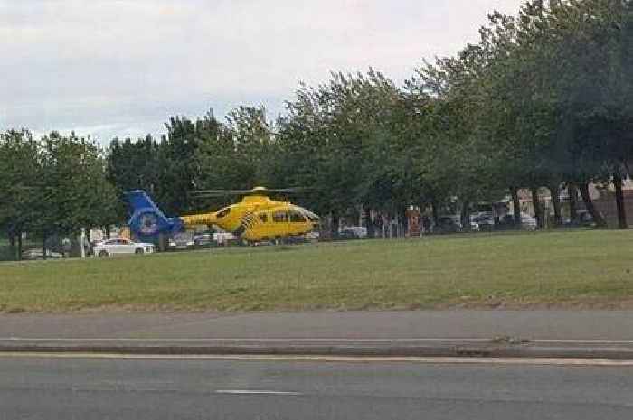 Brave neighbours threw bricks at dog as it mauled girl, 7, in street