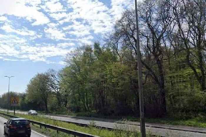 The chilling tale of the 'screaming boy' that 'haunts' a woods near major Essex road