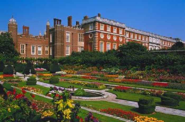 Take on our 10 question quiz to find out just how Surrey you are