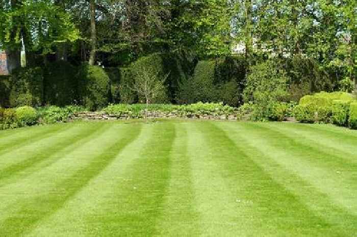 Gardeners warned to do one lawn task in June to ensure grass 'stays lush'