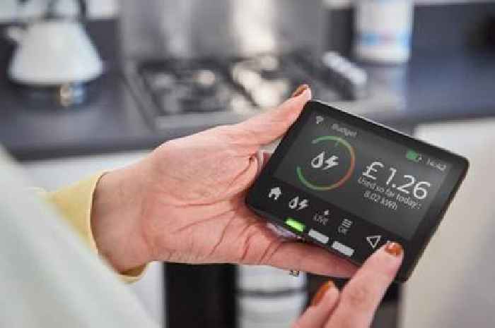 British Gas, Octopus, Eon, EDF and OVO customers sent 30-day £129 message