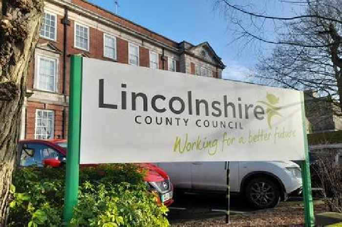 Reform to start Elon Musk-style Lincolnshire County Council audit