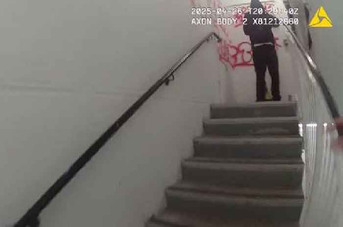 Hilarious moment youth vandal left blushing by 'embarrassing' arrest by police officer