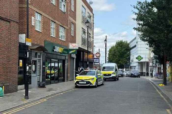 Woman, 26, stabbed to death in Croydon in broad daylight named for first time
