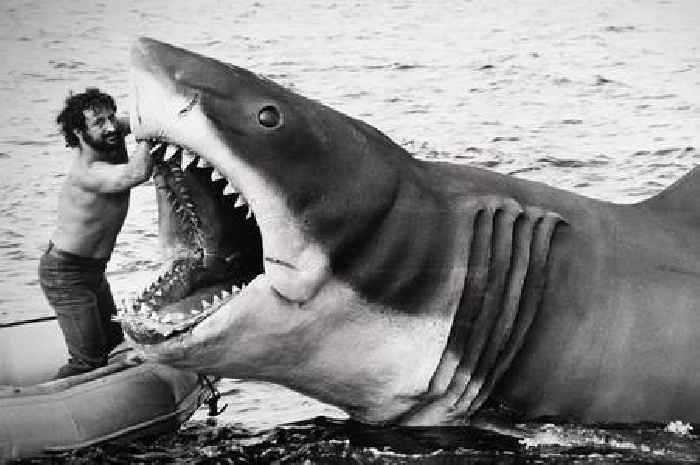 Jaws documentary drops rare unseen footage taken behind scenes 50 years after movie debut