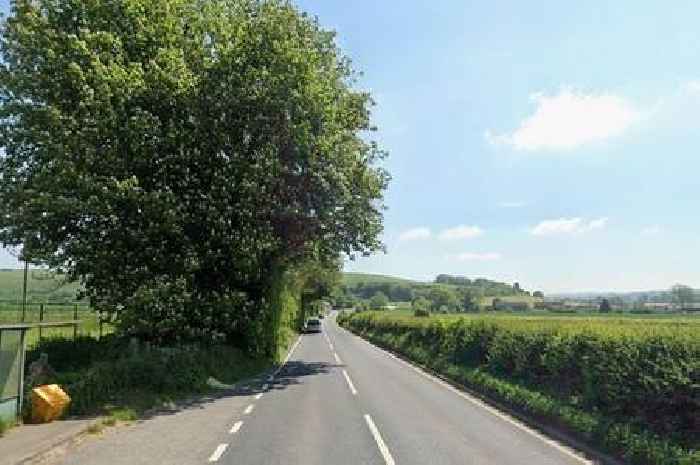 Biker dies in A-road crash near Somerset
