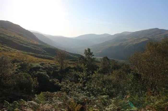 Mixed reaction from politicians to news Galloway will not become national park
