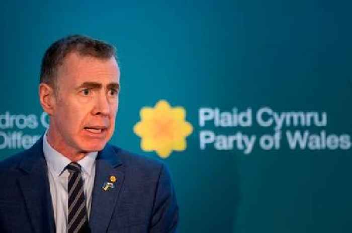Former Plaid Cymru leader Adam Price faces uphill battle for Senedd re-election