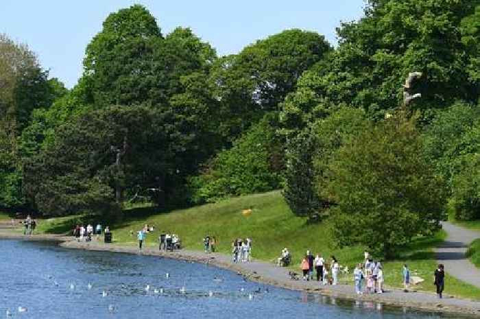 Heatwaves and scorching summer verdict as Met Office says summer is twice as likely to be hot this year