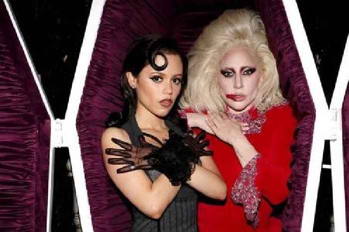 Lady Gaga will guest star in the Netflix TV series Wednesday