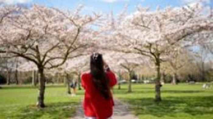 UK's spring was warmest on record, Met Office says