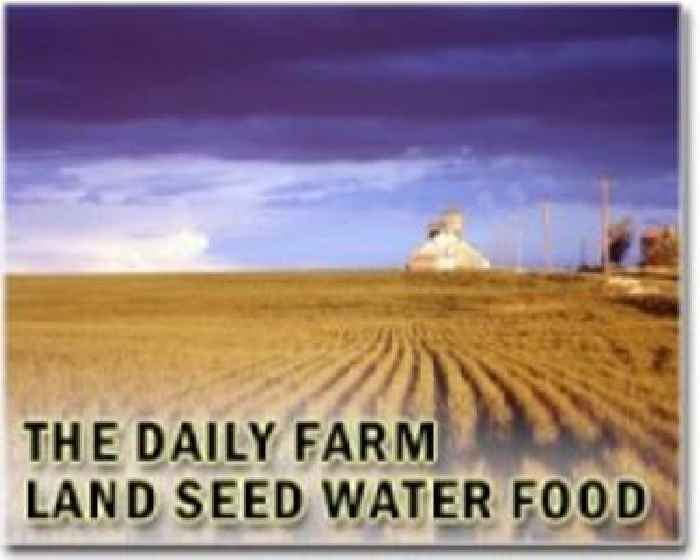 New digital tool provides satellite monitoring of crop health across US