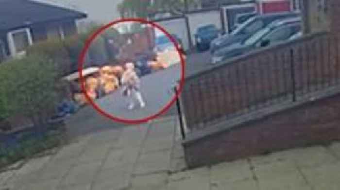 Dive-bombing buzzard forces school to close playground