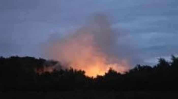 Fire significantly damaged wildlife, says service