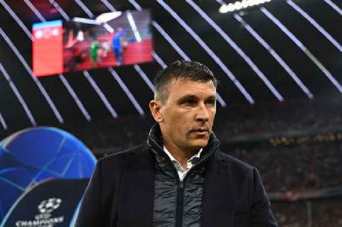 Hull City transfer state of play as Tigers face Sergej Jakirovic summer rebuild