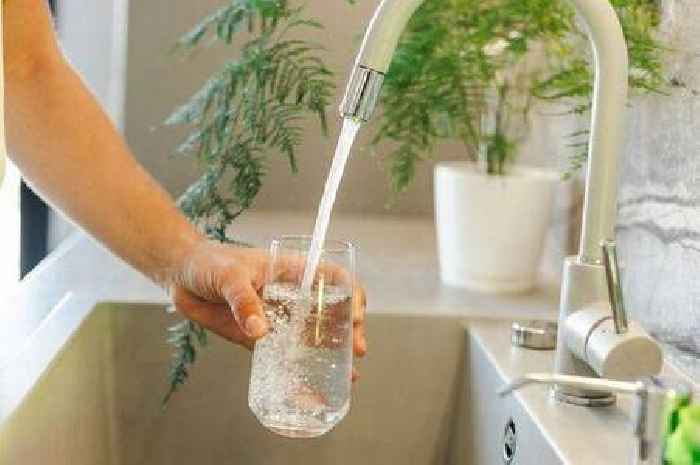 Woman, 71, killed by brain-eating amoeba after washing her nose with tap water