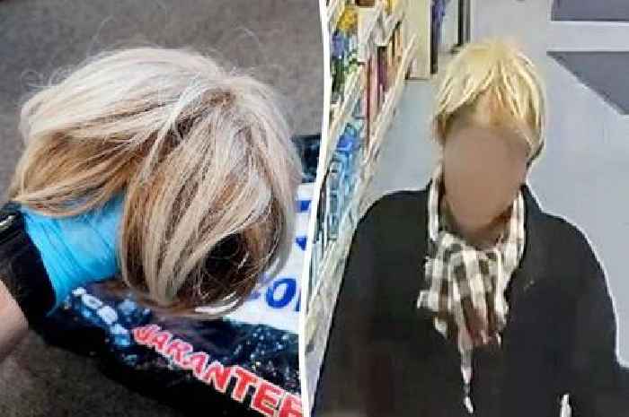Moment thief in Boris Johnson wig tries to steal £750 of Lego