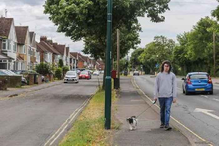 Residents' lives 'ruined by choking flies' that are 'swarming babies in cots'