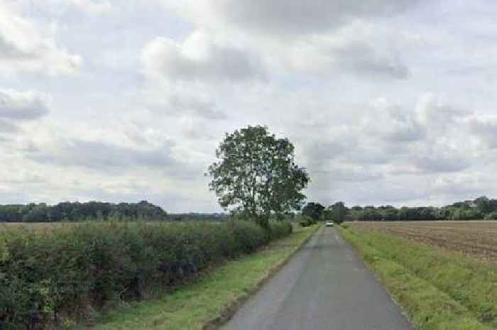 Person cut from car by firefighters after crash involving tree