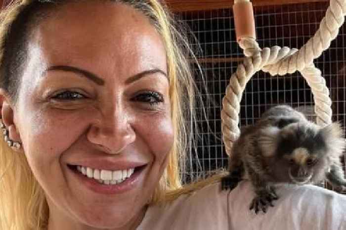 Ex-glamour model Jodie Marsh can keep lemurs at animal sanctuary, judge rules