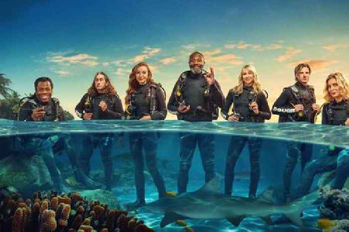 Lenny Henry and Rachel Riley among stars diving with sharks in new show