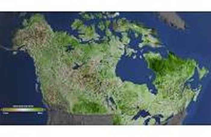 In Canada lake, robot learns to mine without disrupting marine life