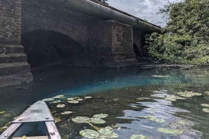 Body of dog found in 'suspicious' circumstances in Leicester river