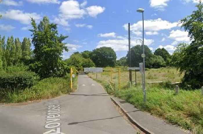 Man injured in Birmingham park attack