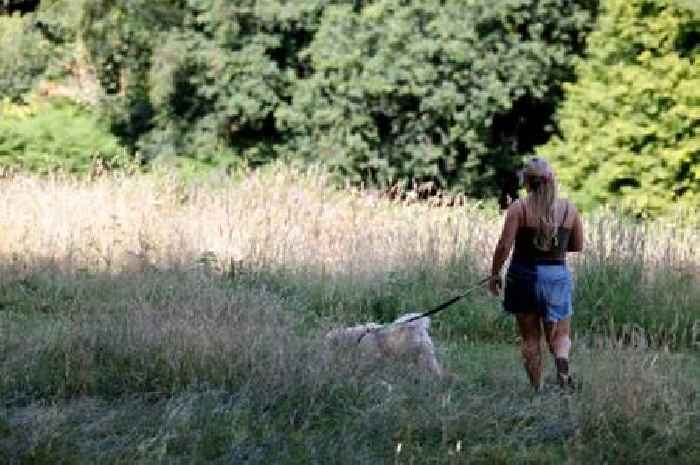 The 4 counties in England set to sizzle in 30C heatwave as weather maps turn red