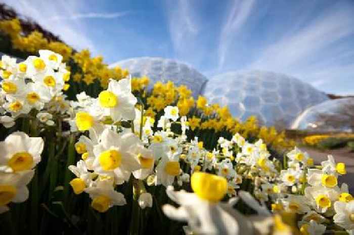 Eden Project slammed as ‘disappointed’ visitors all say the same thing