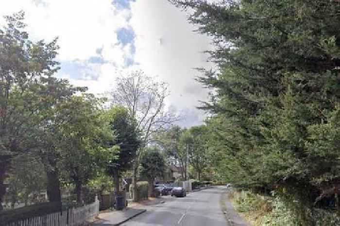 Essex's millionaire street ideal for commuters looking for luxury