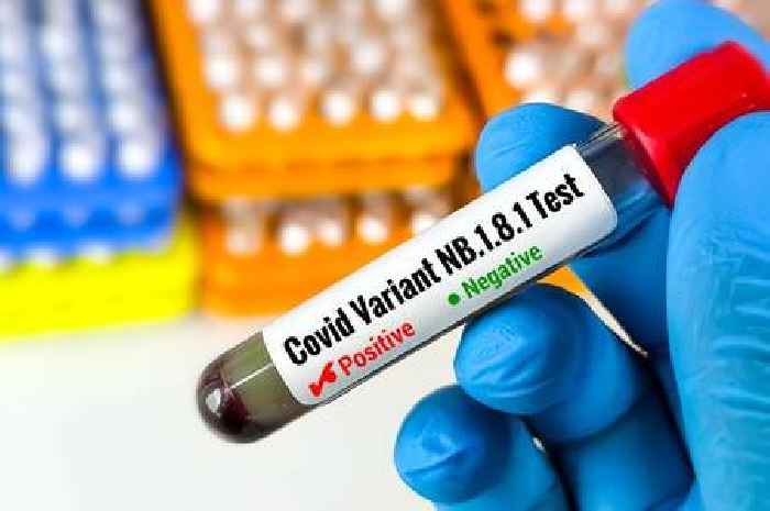 New Covid strain identified in the UK with full list of symptoms to look out for