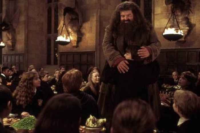 Nick Frost addresses taking over iconic role in controversial Harry Potter series