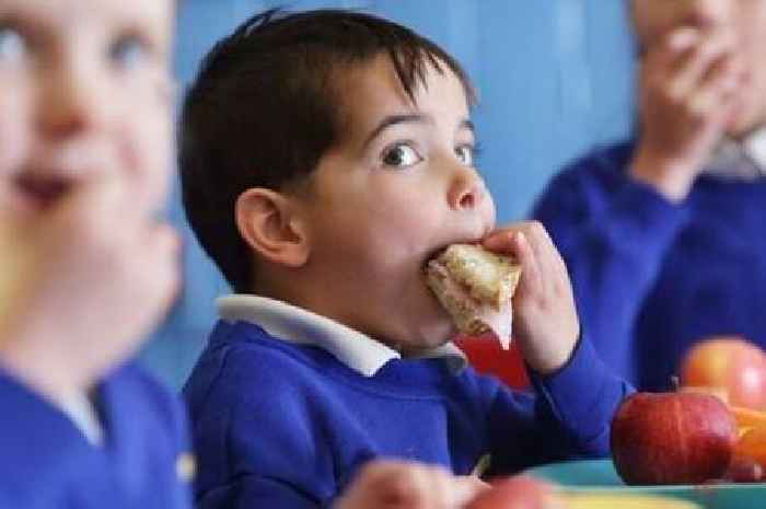 New school dinner rules in England kick in and will save parents £500