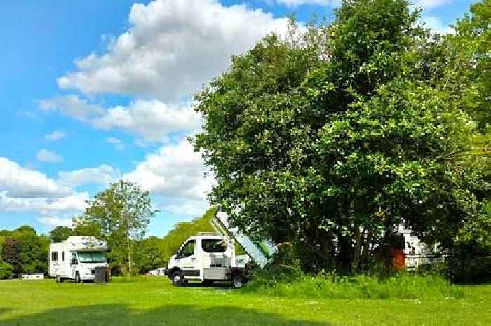 Several tonnes of waste cleared after travellers vacate Weelsby Woods
