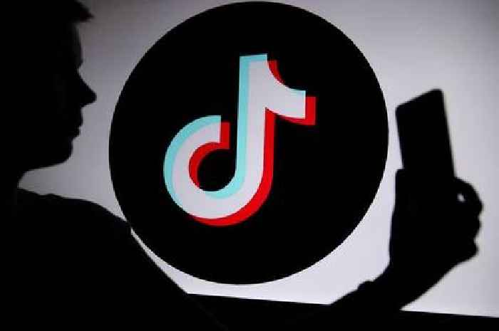 Viral TikTok song everyone loves and the original singer will surprise you