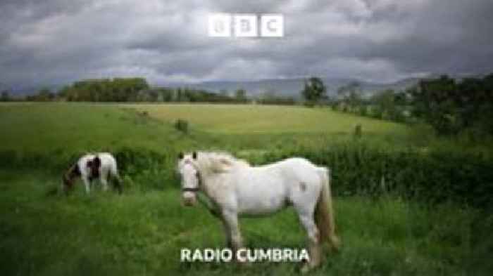 Appleby Horse Fair returns