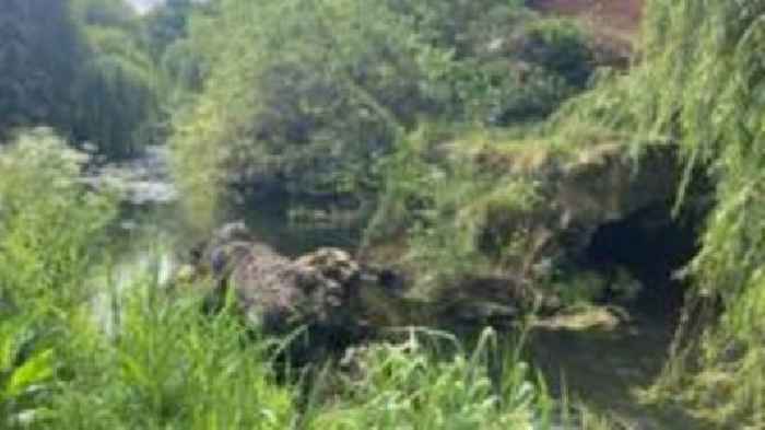 Pupils call for collapsed bridge to be rebuilt