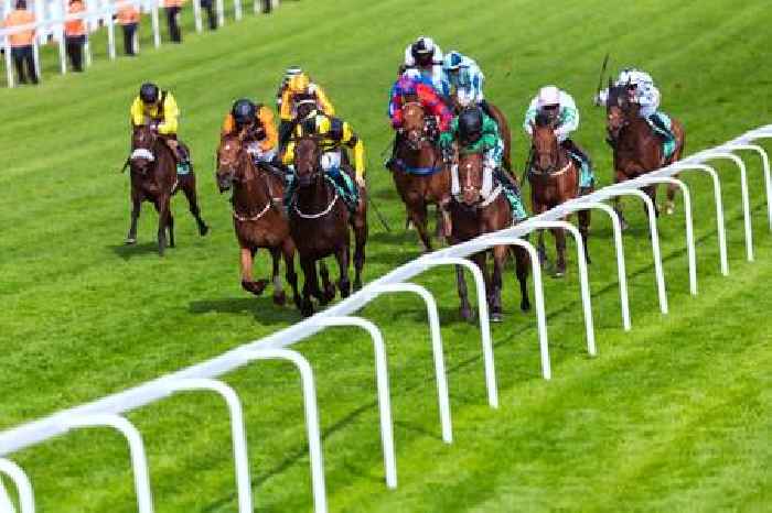 Dress a Royally good bet in Derby Day opener