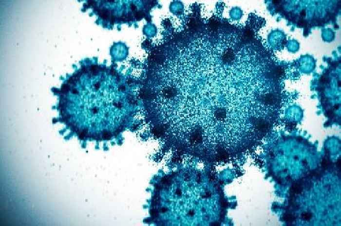 Covid Nimbus new strain detected in UK as anyone with symptoms urged to 'stay home' or 'wear mask'