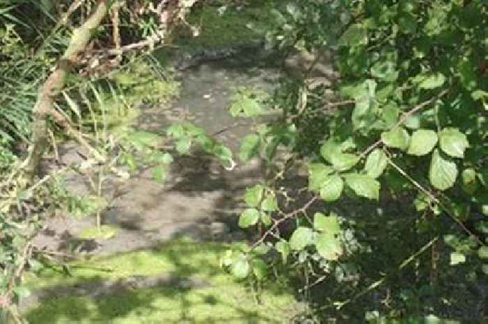 Wessex Water boss banned from getting bonus for sewage conviction