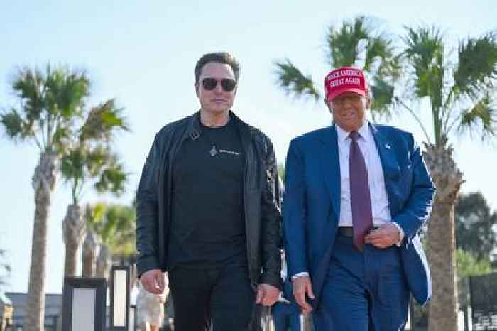 Donald Trump and Elon Musk urged to end feud