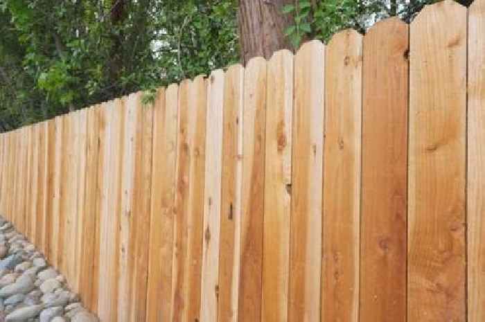 New UK law 'simplifies' garden fence rules but UK households face £5,000 fine
