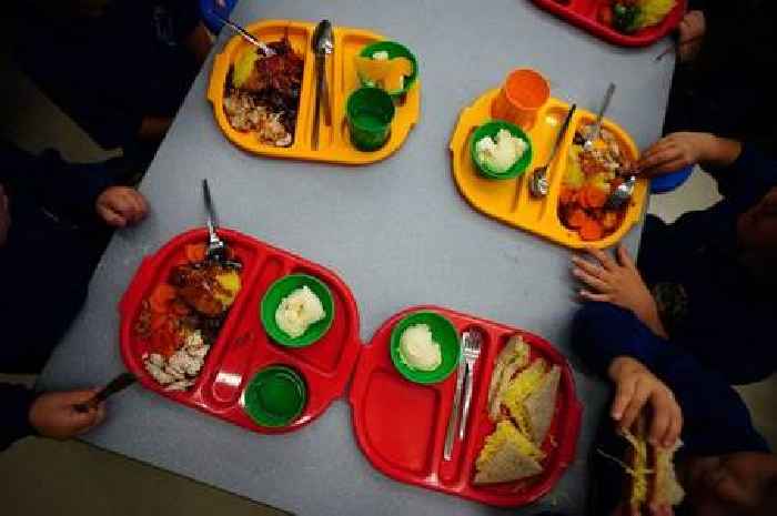 Almost 50,000 Cambs children set to benefit from free school meals expansion