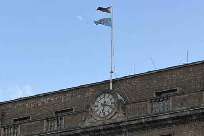 Council 'sincerely apologises' as Romani flag flown upside down in Cambridge