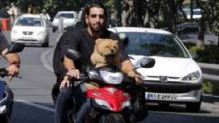 Iran expands dog walking ban