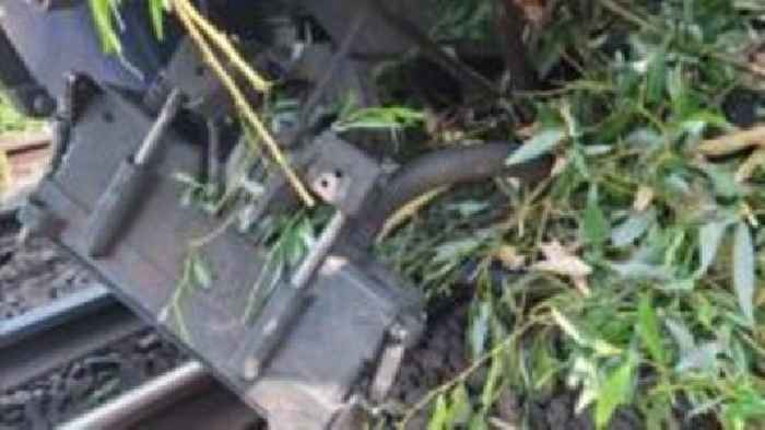 Train damaged and stuck after hitting tree