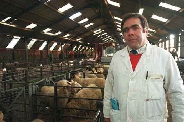 Casting minds back to the days of Beverley cattle market