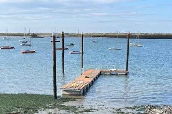 The hidden gem Essex coastal walk 'you've probably never heard of' with cafes and seals