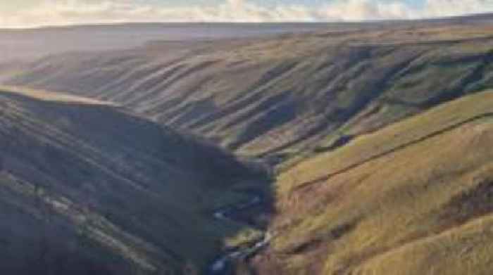 New nature reserve to return rainforests to Dales